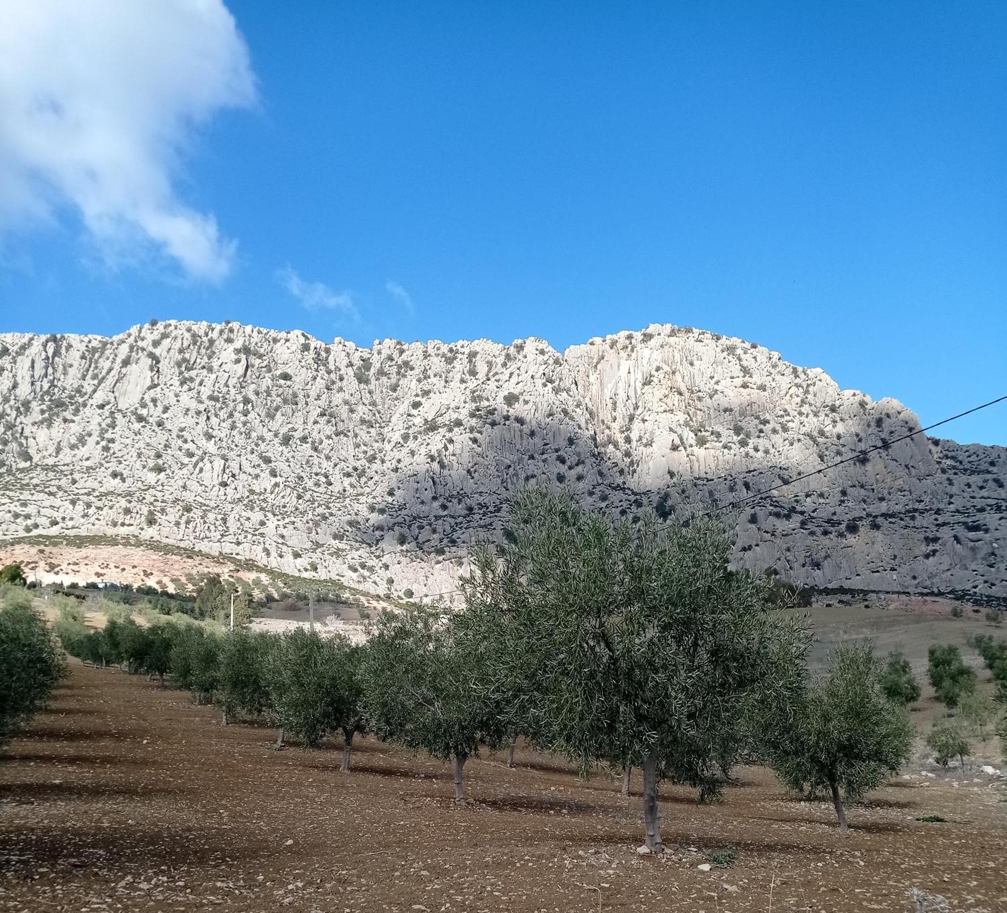 Holiday home Rocio - Caminito Del Rey Valle de Abdalagis
