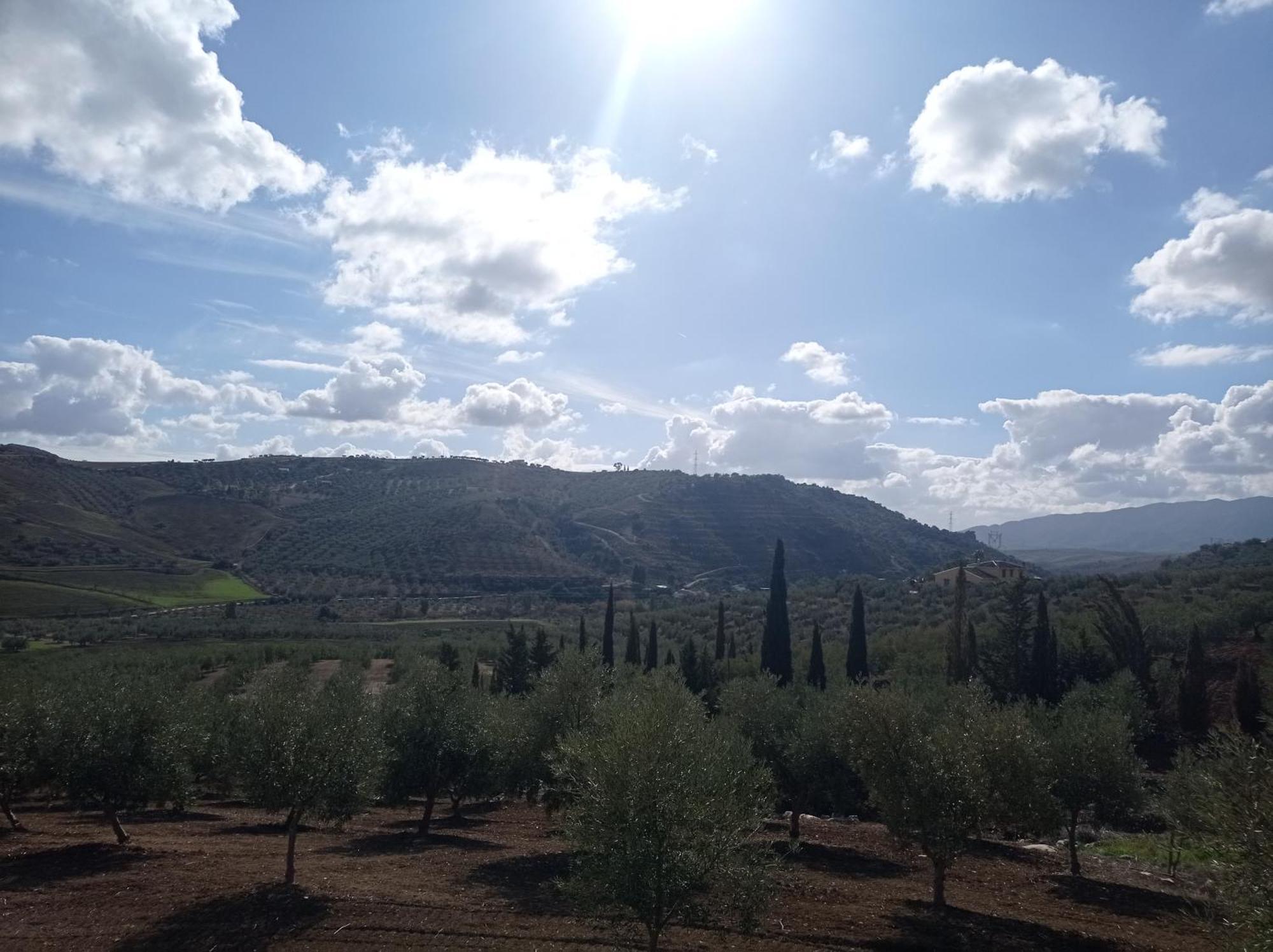 Holiday home Rocio - Caminito Del Rey